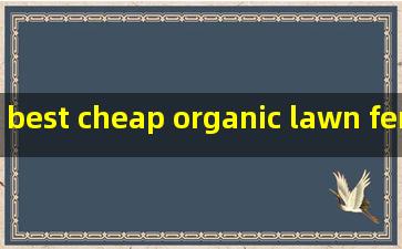 best cheap organic lawn fertilizer